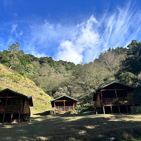 Entre Arboles Lodge San Gerardo de Dota Dış mekan fotoğraf
