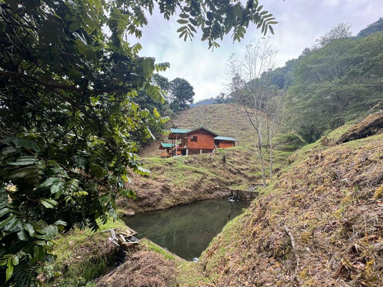 Entre Arboles Lodge San Gerardo de Dota Dış mekan fotoğraf