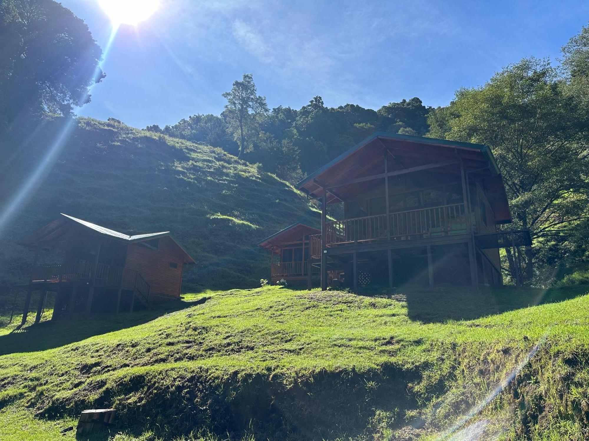 Entre Arboles Lodge San Gerardo de Dota Dış mekan fotoğraf