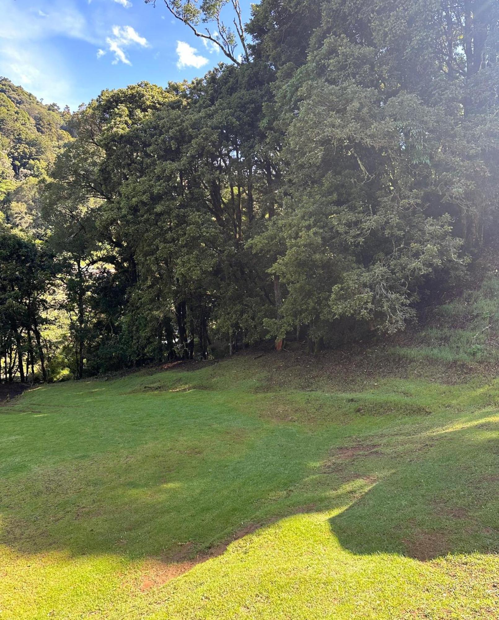 Entre Arboles Lodge San Gerardo de Dota Dış mekan fotoğraf