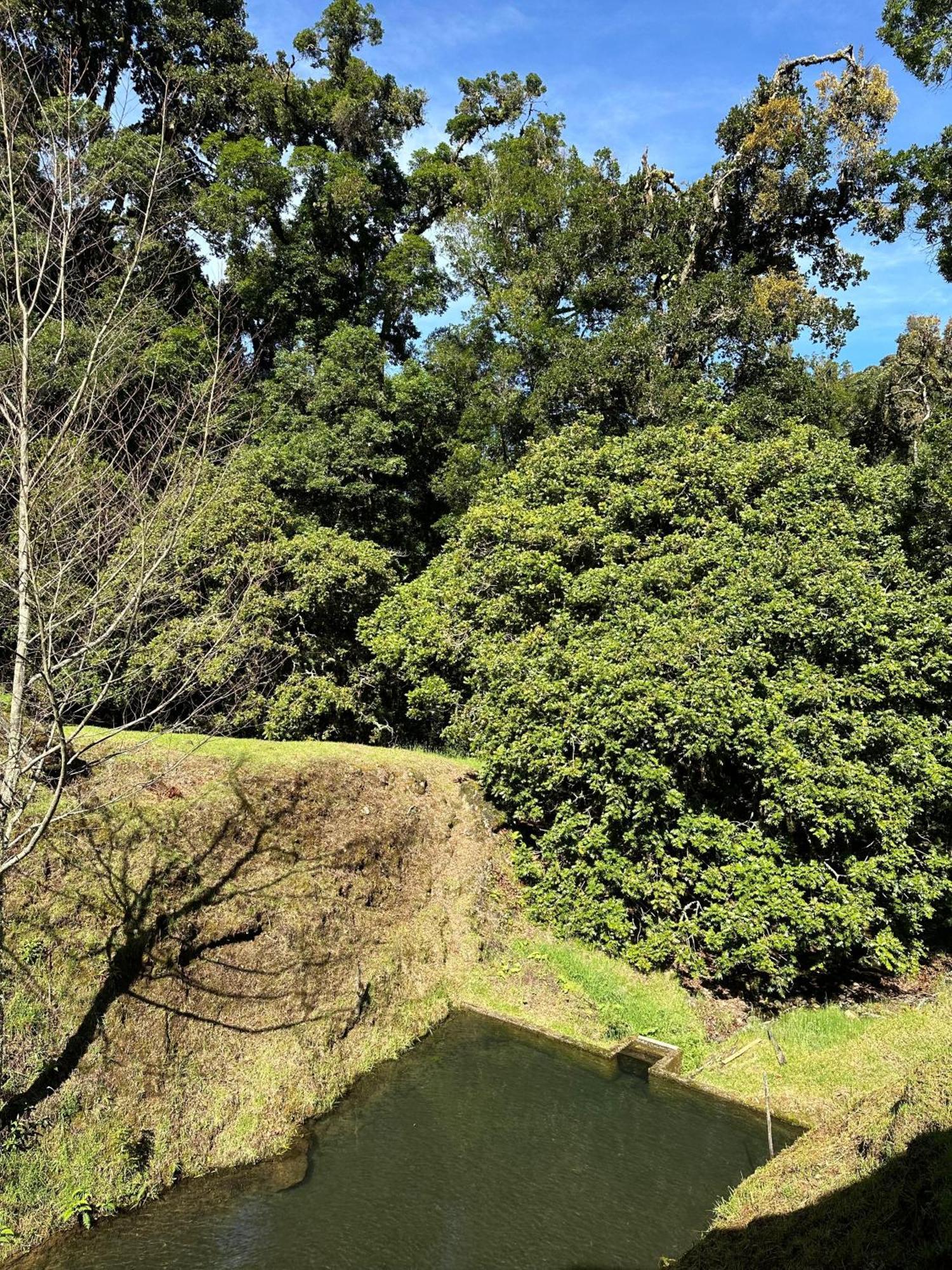 Entre Arboles Lodge San Gerardo de Dota Dış mekan fotoğraf