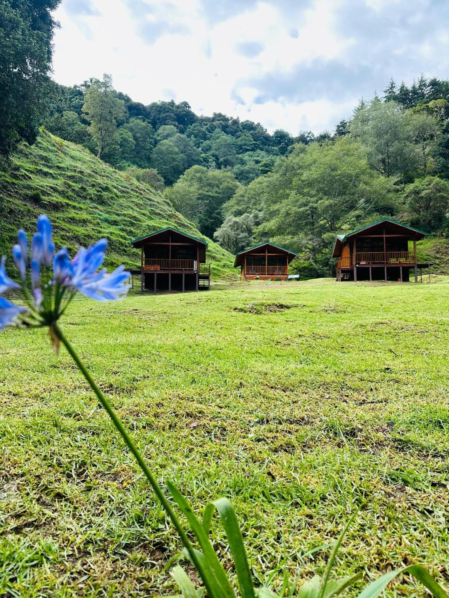 Entre Arboles Lodge San Gerardo de Dota Dış mekan fotoğraf