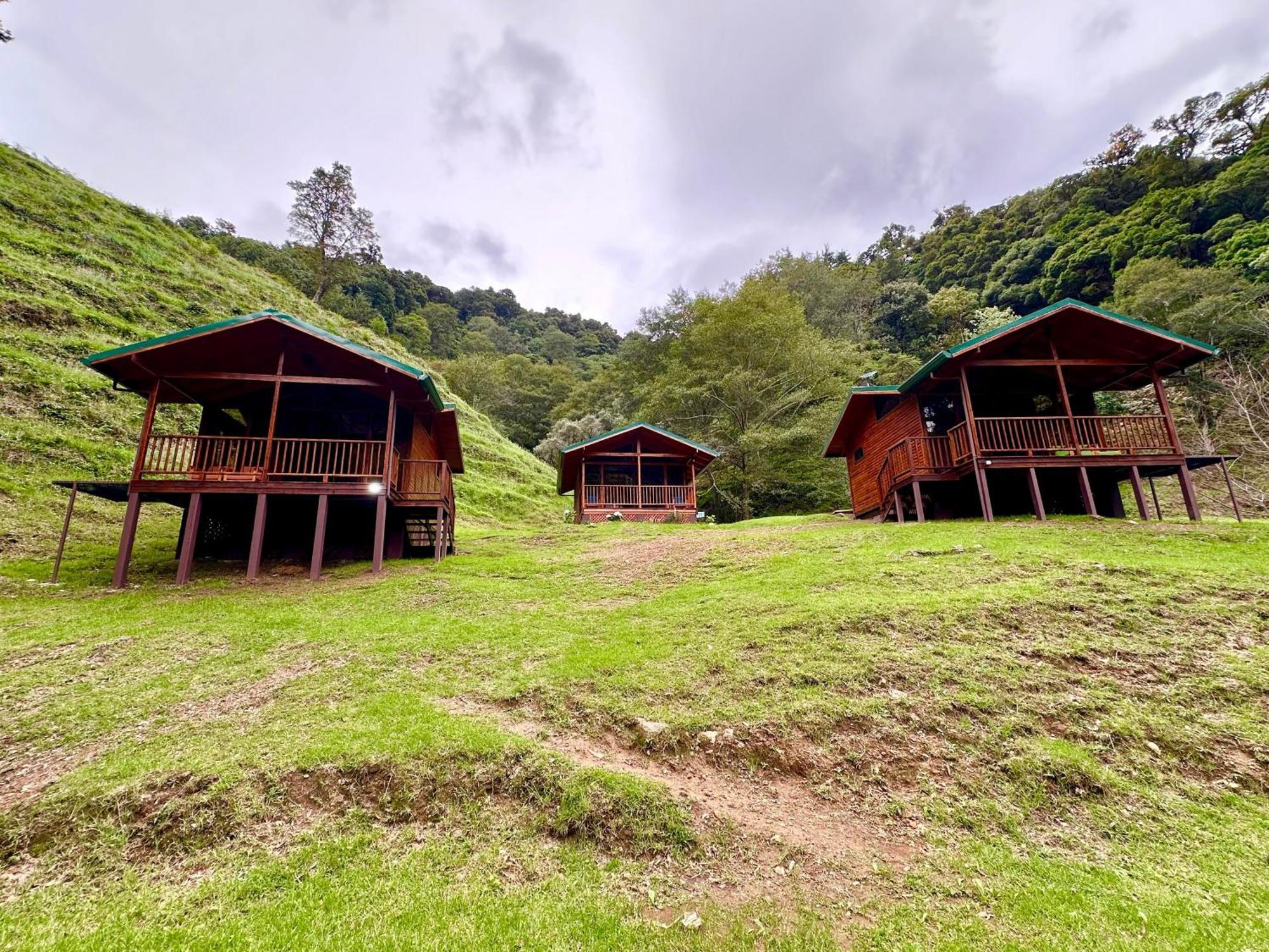 Entre Arboles Lodge San Gerardo de Dota Dış mekan fotoğraf