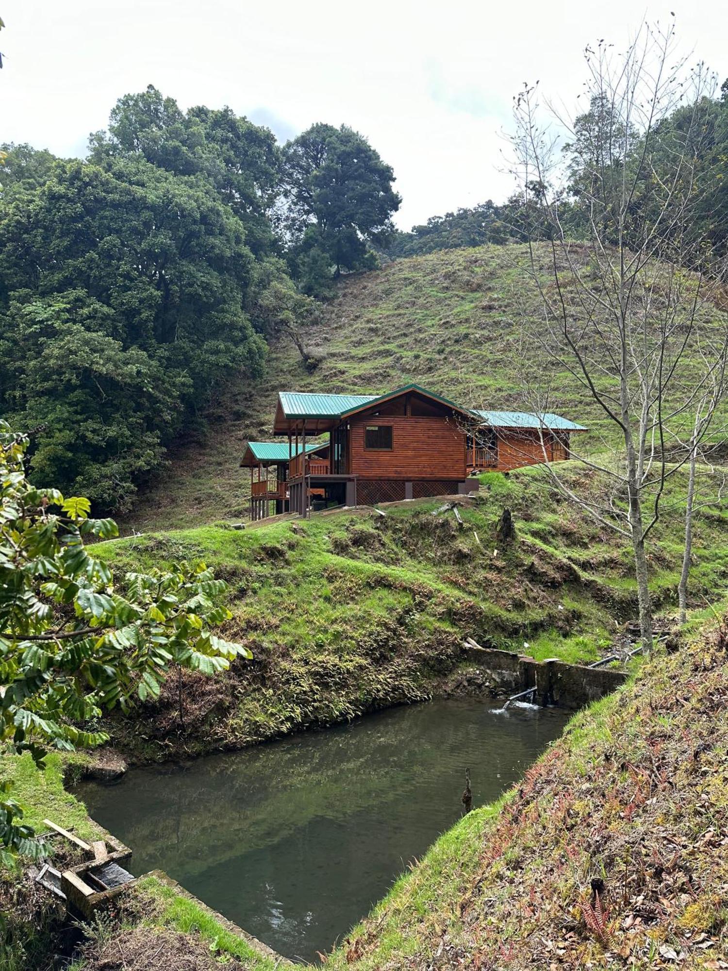 Entre Arboles Lodge San Gerardo de Dota Dış mekan fotoğraf