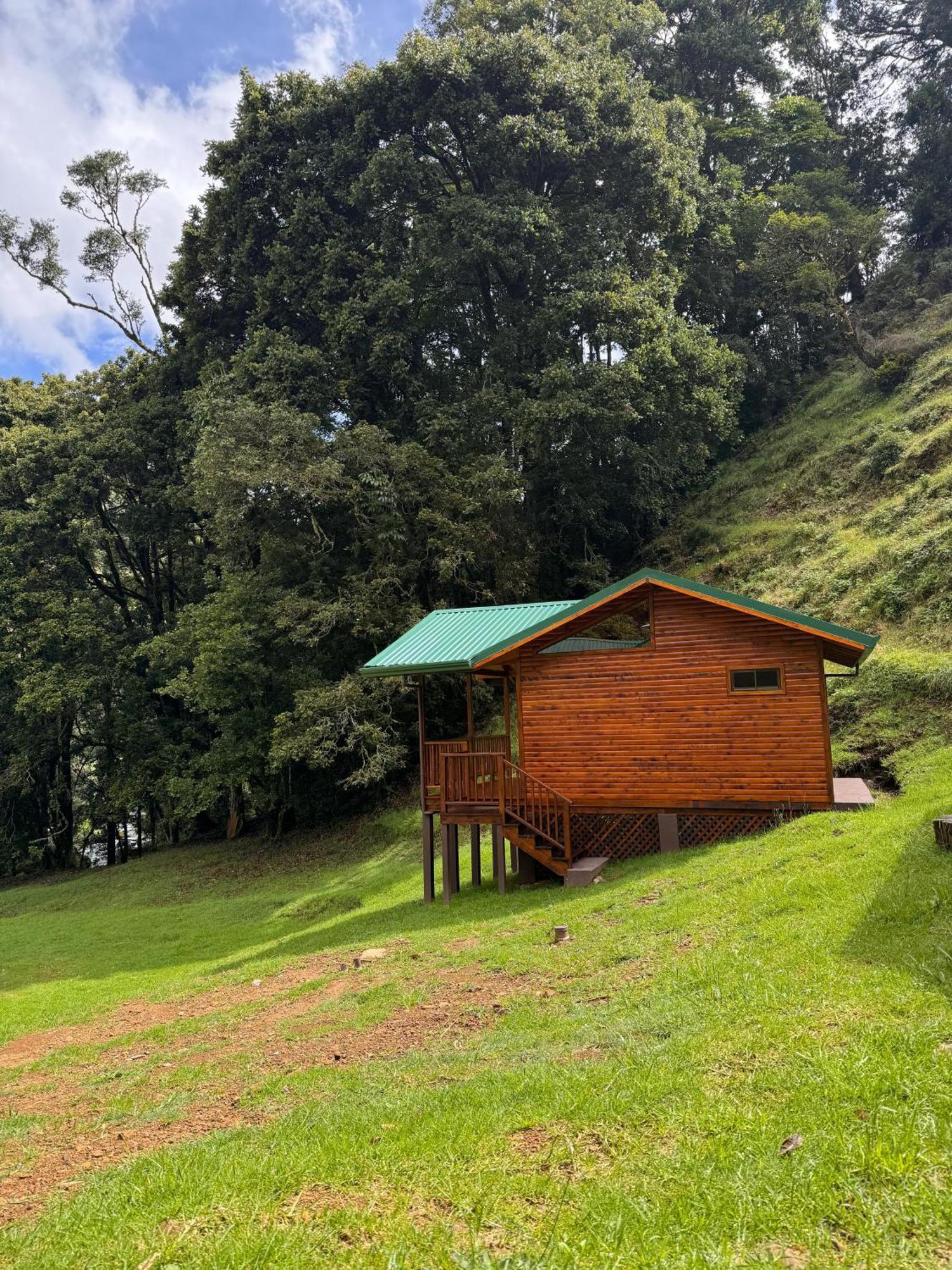Entre Arboles Lodge San Gerardo de Dota Dış mekan fotoğraf