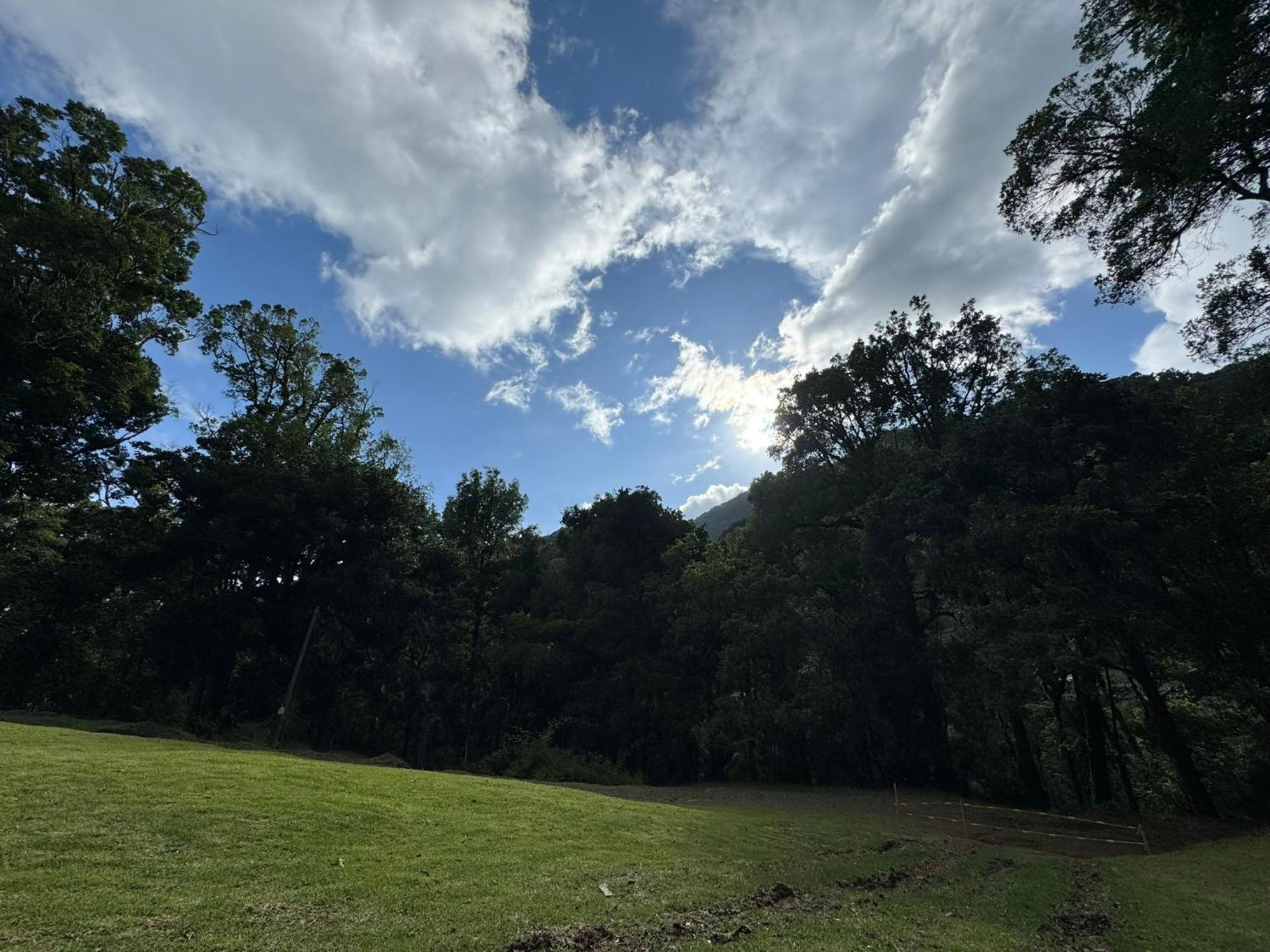 Entre Arboles Lodge San Gerardo de Dota Dış mekan fotoğraf
