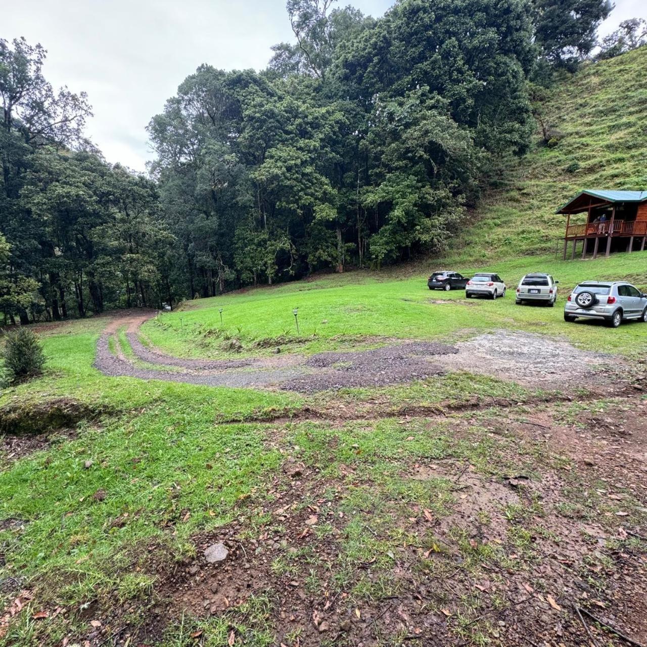 Entre Arboles Lodge San Gerardo de Dota Dış mekan fotoğraf