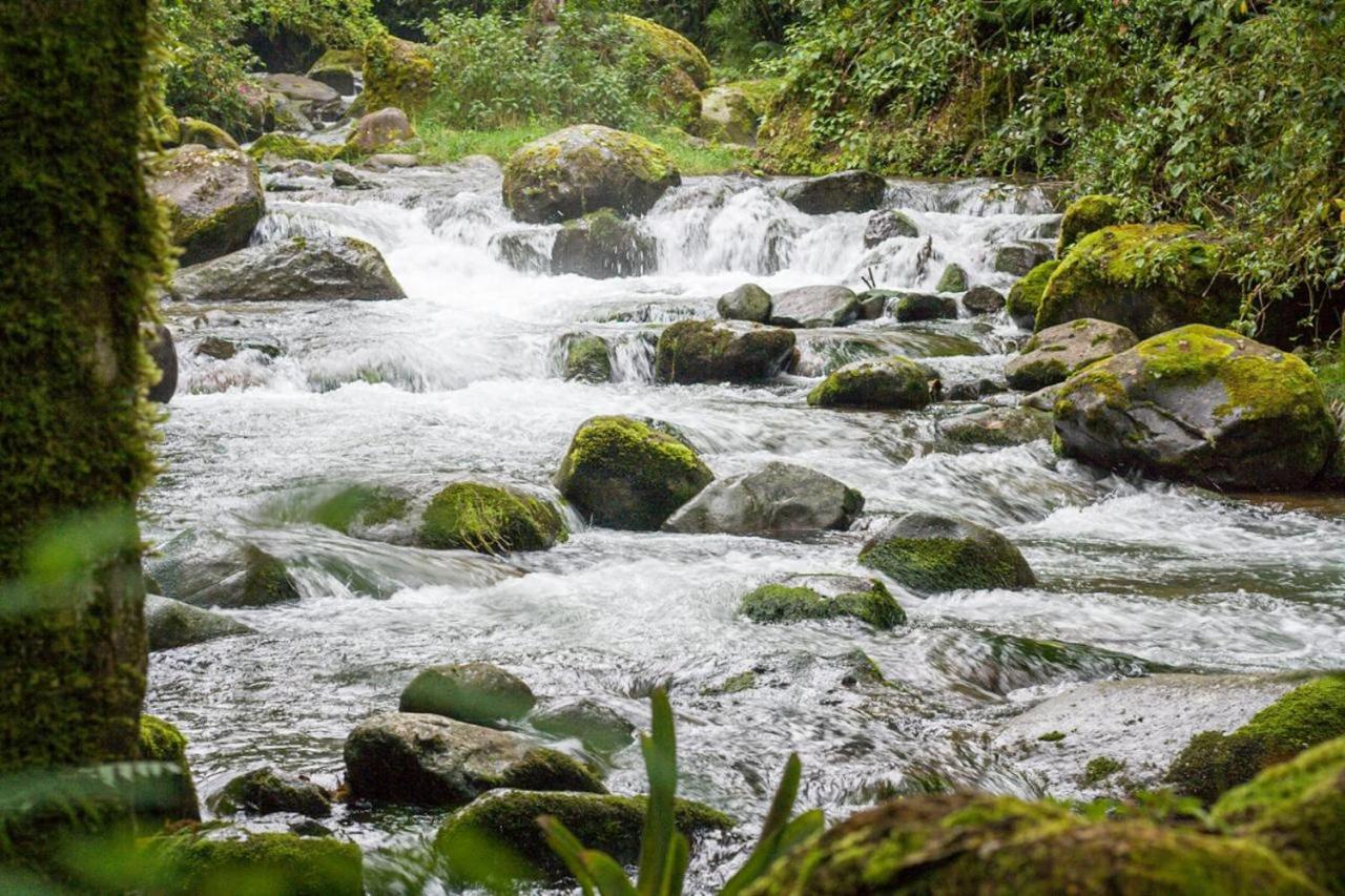 Entre Arboles Lodge San Gerardo de Dota Dış mekan fotoğraf