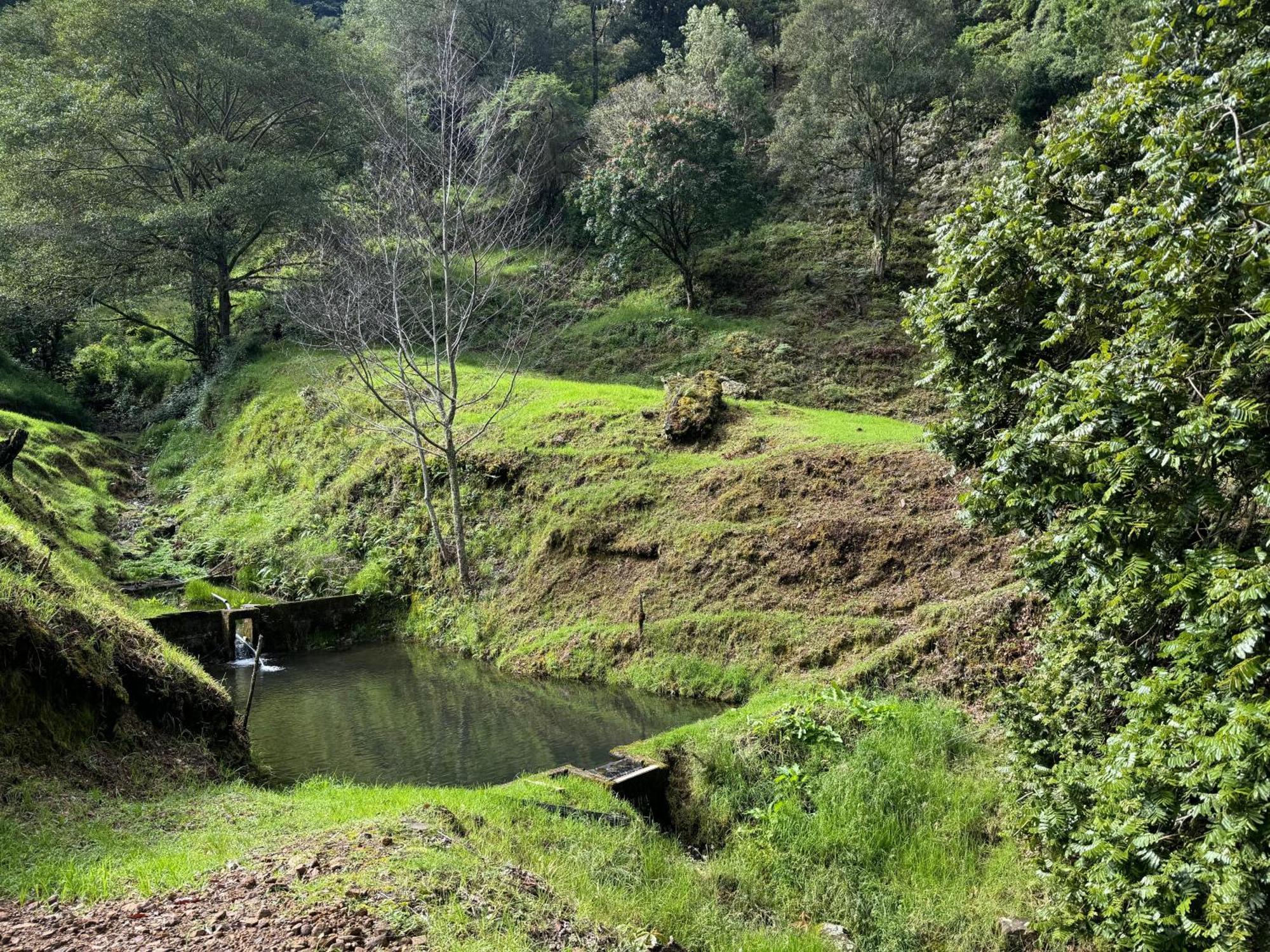 Entre Arboles Lodge San Gerardo de Dota Dış mekan fotoğraf