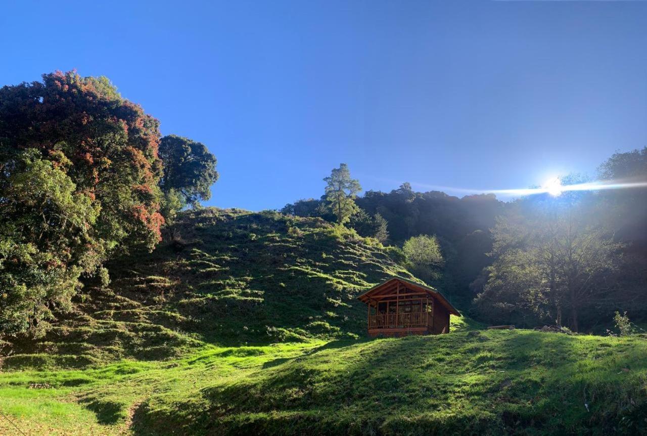 Entre Arboles Lodge San Gerardo de Dota Dış mekan fotoğraf