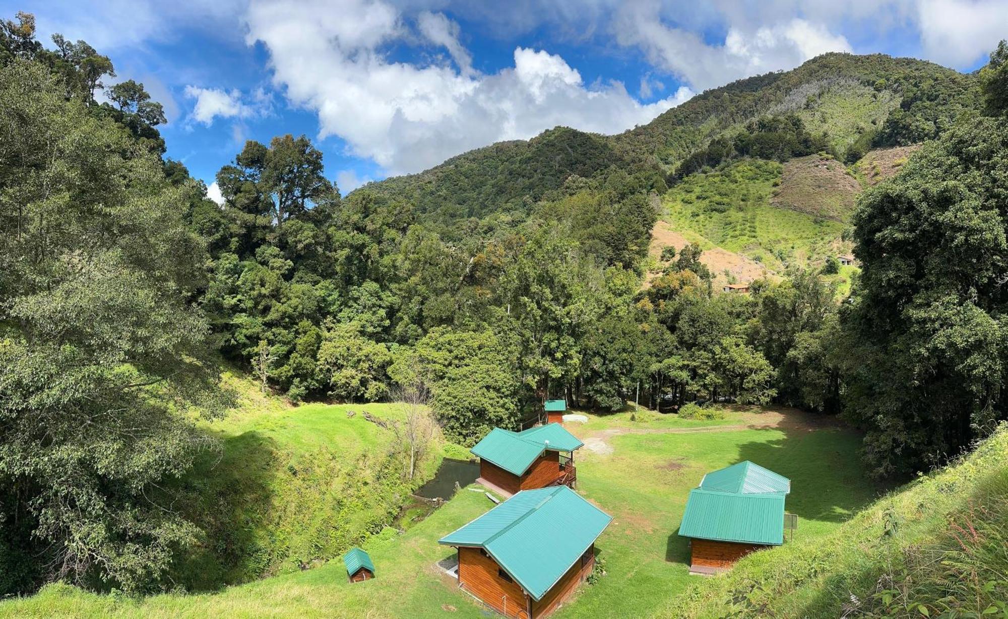 Entre Arboles Lodge San Gerardo de Dota Dış mekan fotoğraf