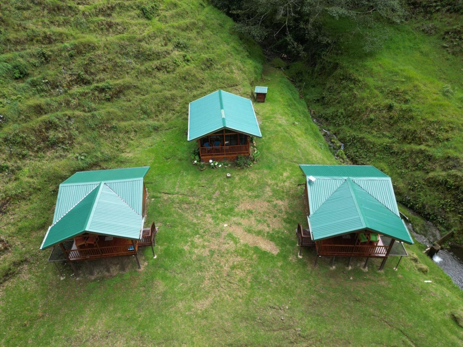 Entre Arboles Lodge San Gerardo de Dota Dış mekan fotoğraf