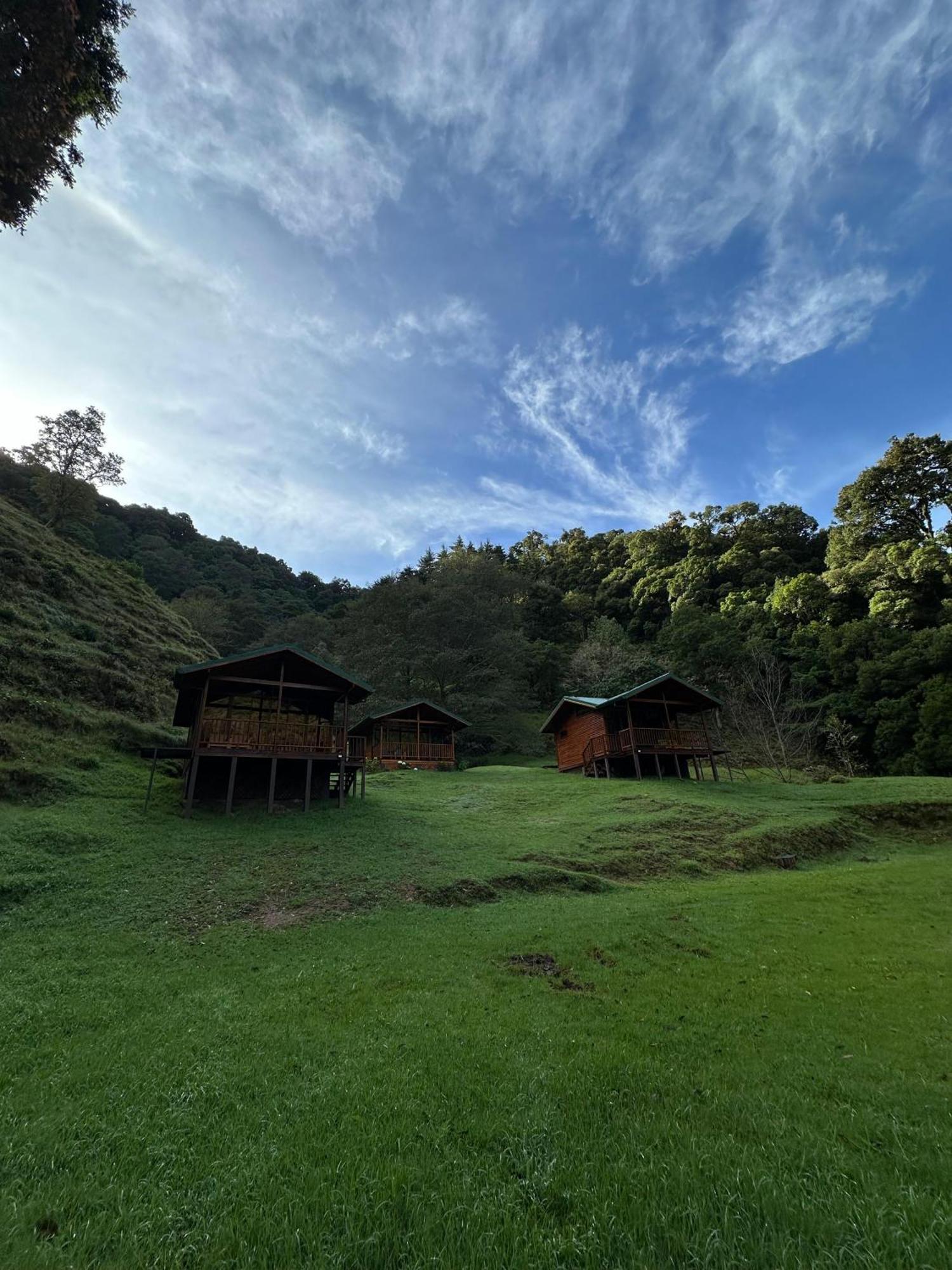Entre Arboles Lodge San Gerardo de Dota Dış mekan fotoğraf