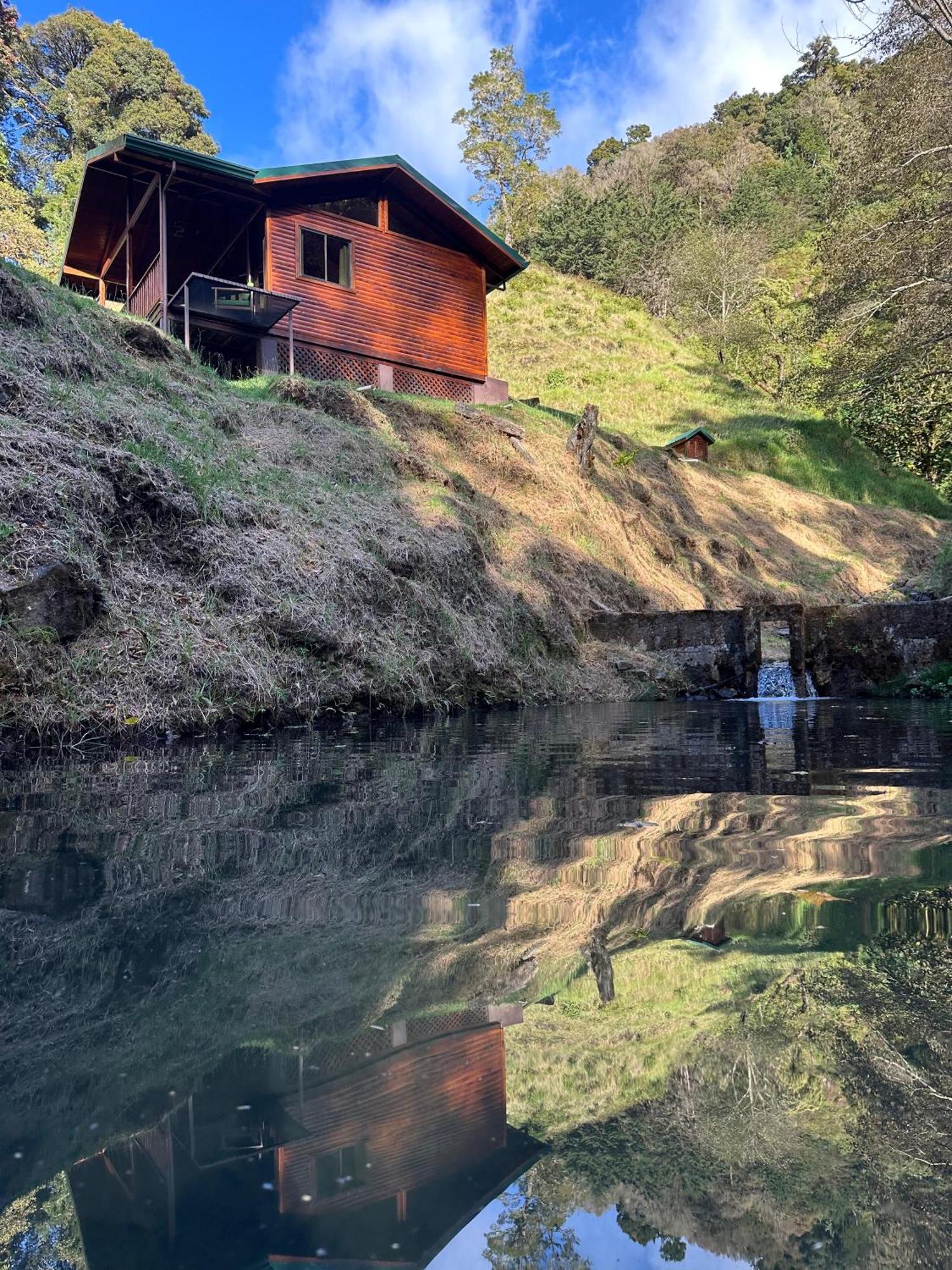 Entre Arboles Lodge San Gerardo de Dota Dış mekan fotoğraf
