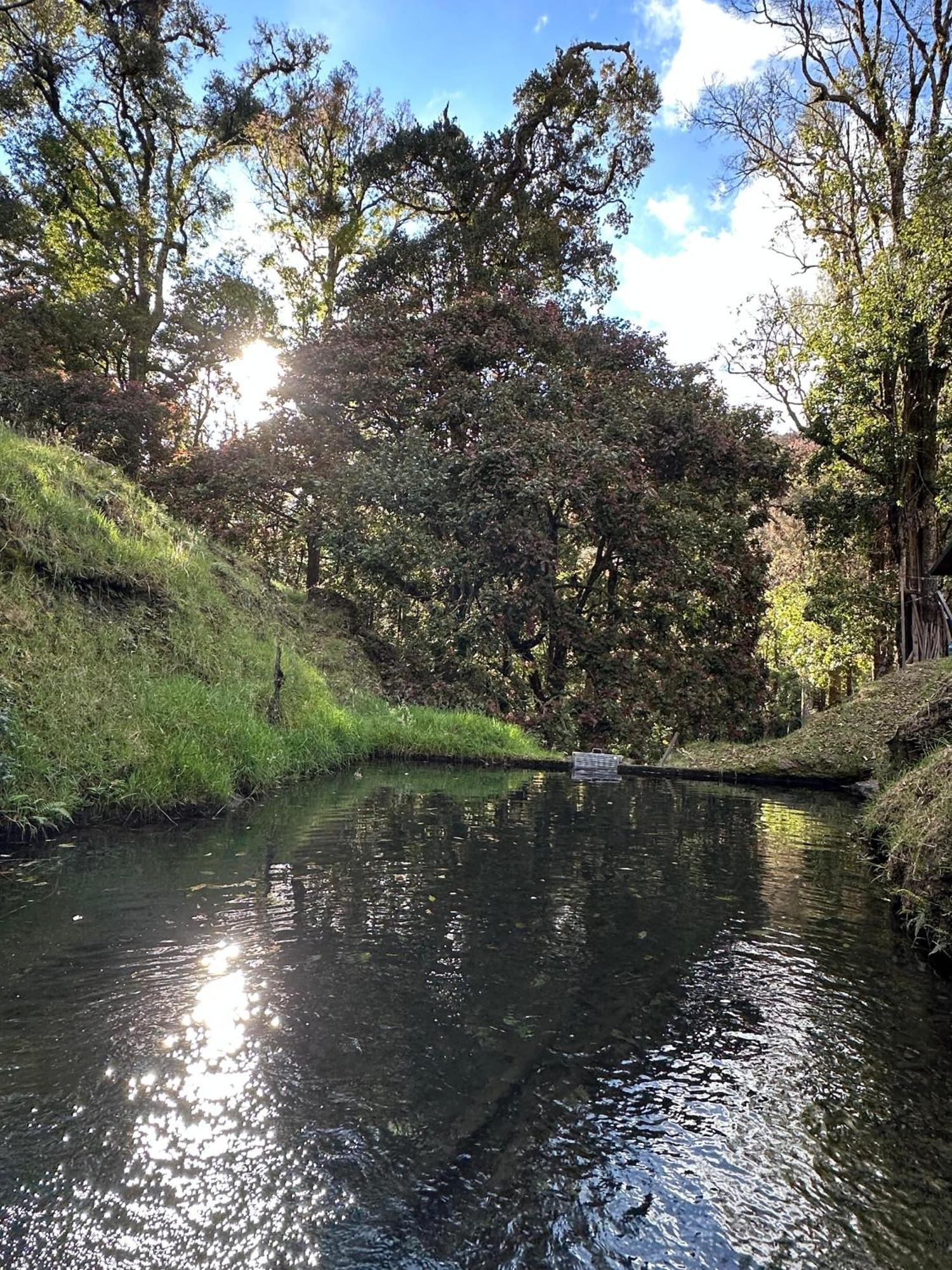 Entre Arboles Lodge San Gerardo de Dota Dış mekan fotoğraf