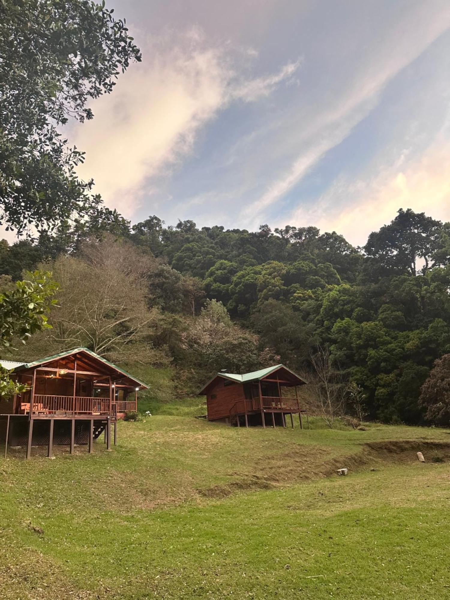 Entre Arboles Lodge San Gerardo de Dota Dış mekan fotoğraf