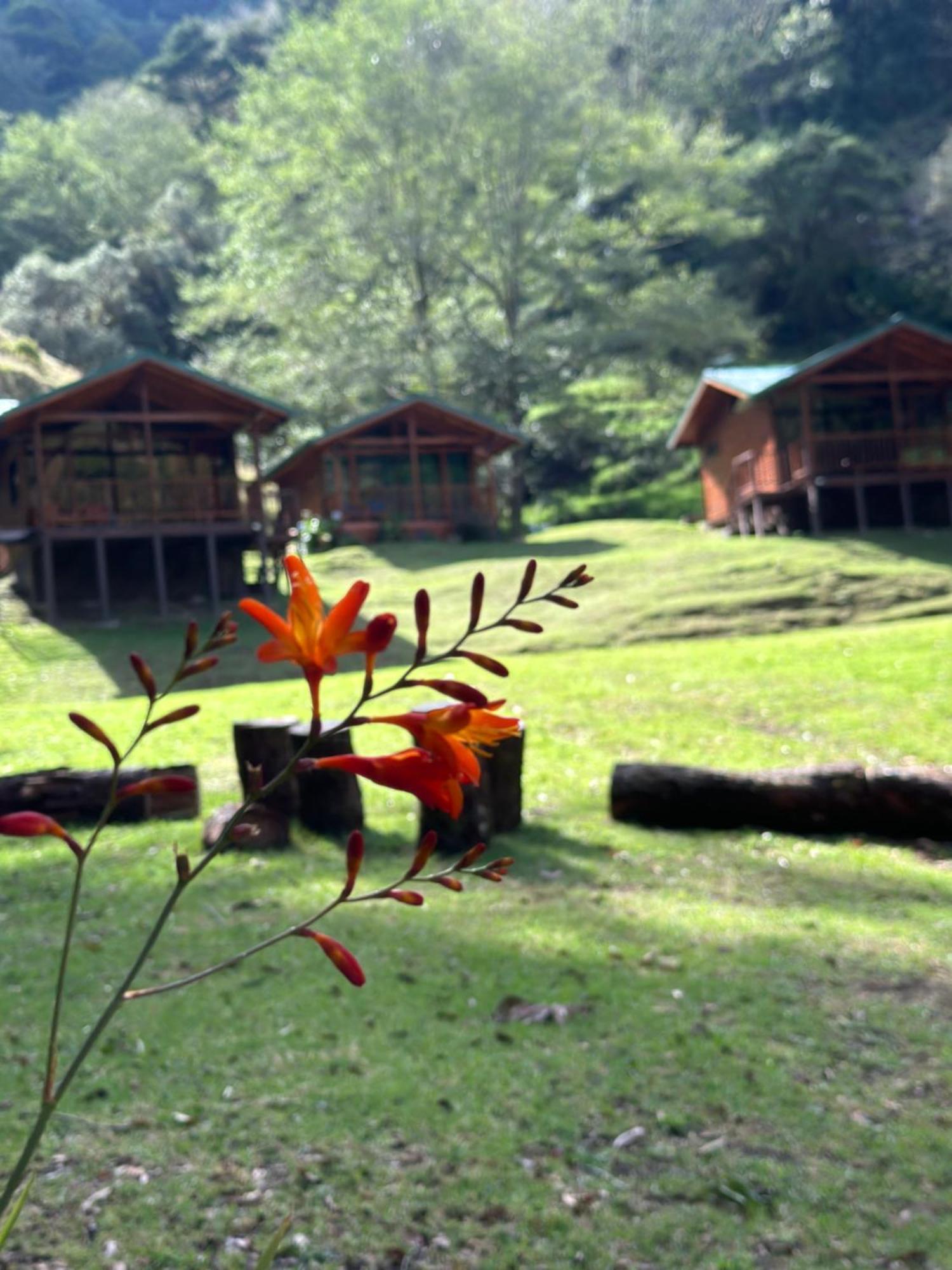 Entre Arboles Lodge San Gerardo de Dota Dış mekan fotoğraf