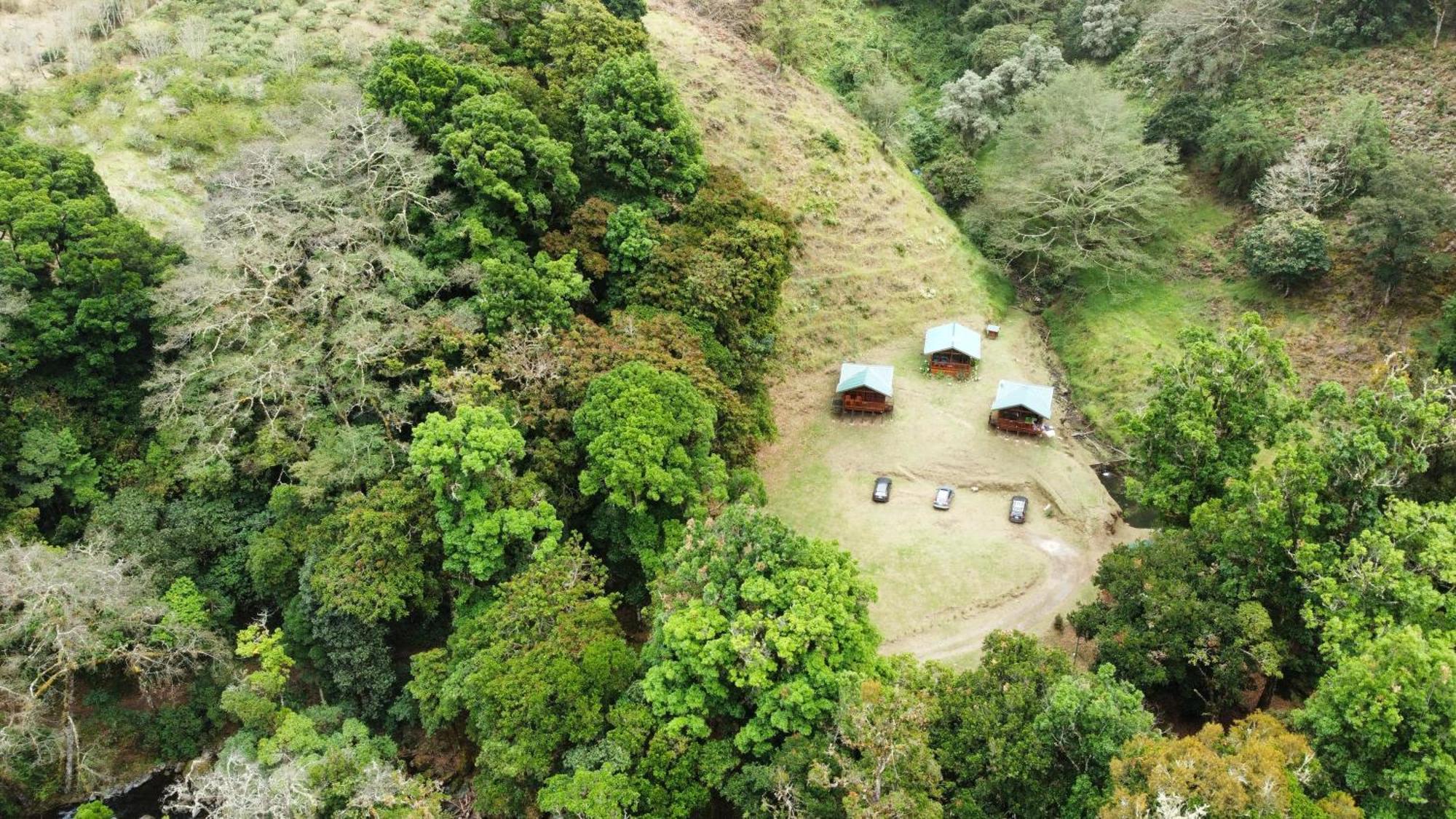 Entre Arboles Lodge San Gerardo de Dota Dış mekan fotoğraf