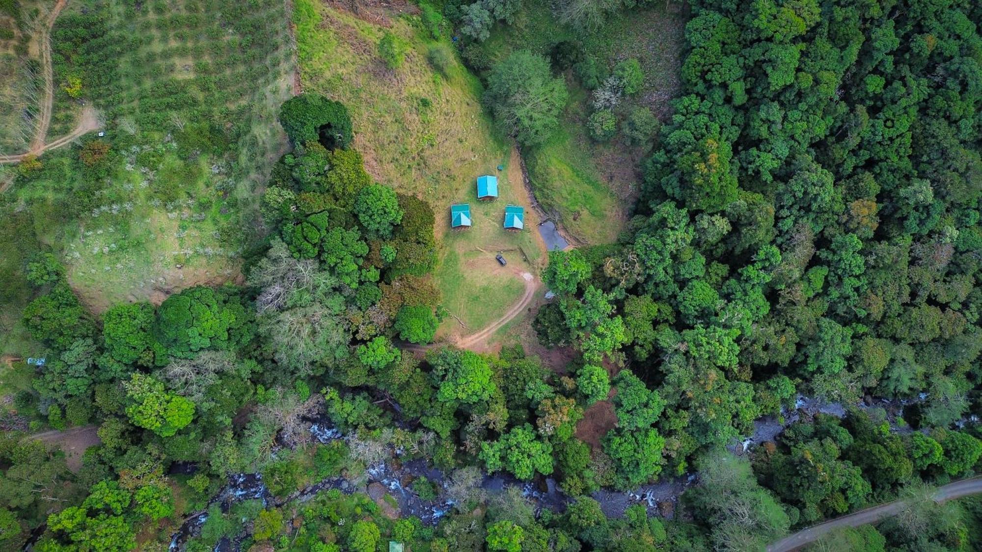 Entre Arboles Lodge San Gerardo de Dota Dış mekan fotoğraf