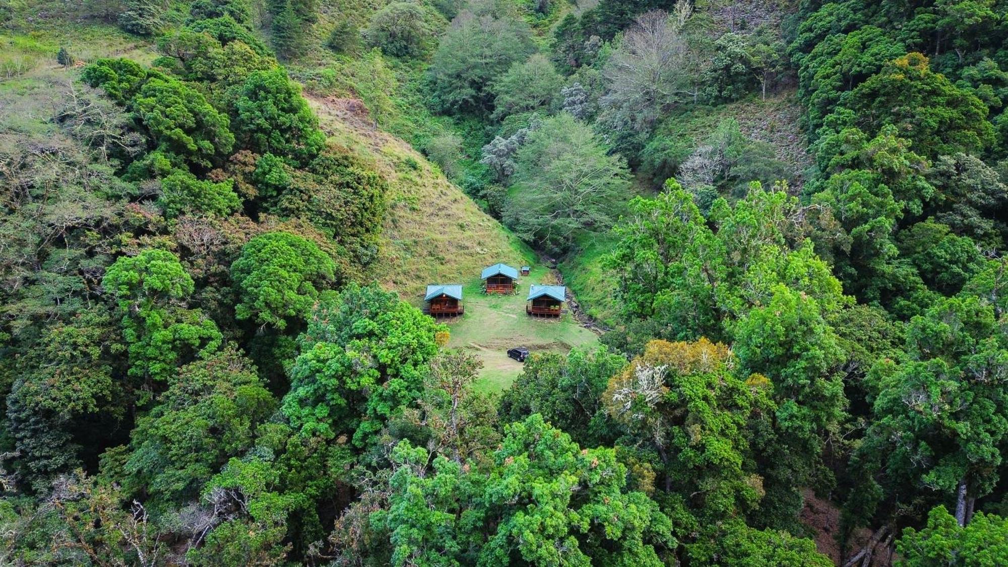 Entre Arboles Lodge San Gerardo de Dota Dış mekan fotoğraf