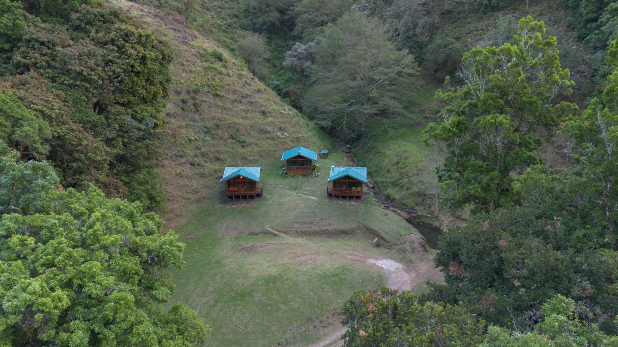 Entre Arboles Lodge San Gerardo de Dota Dış mekan fotoğraf