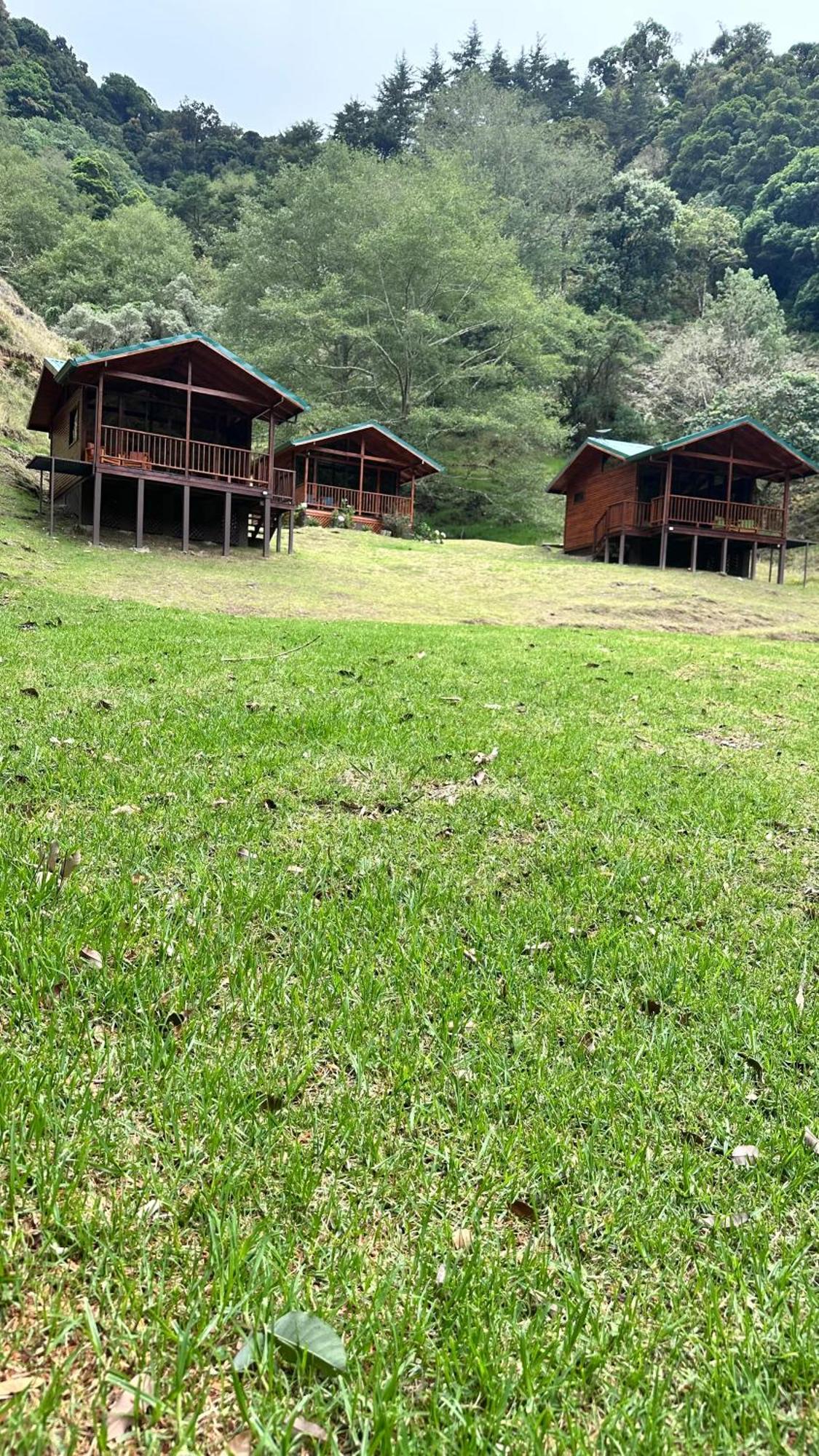 Entre Arboles Lodge San Gerardo de Dota Dış mekan fotoğraf