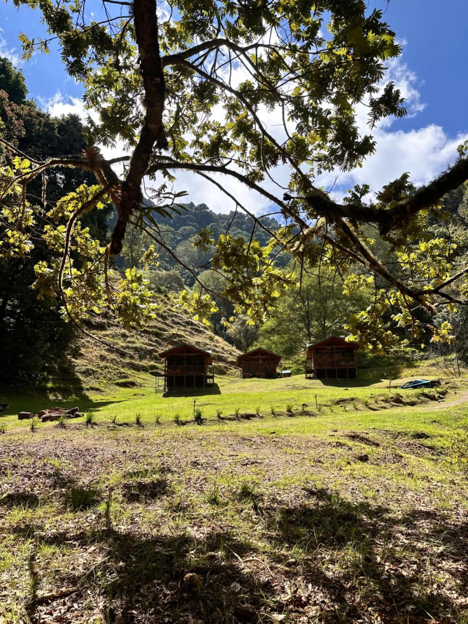 Entre Arboles Lodge San Gerardo de Dota Dış mekan fotoğraf