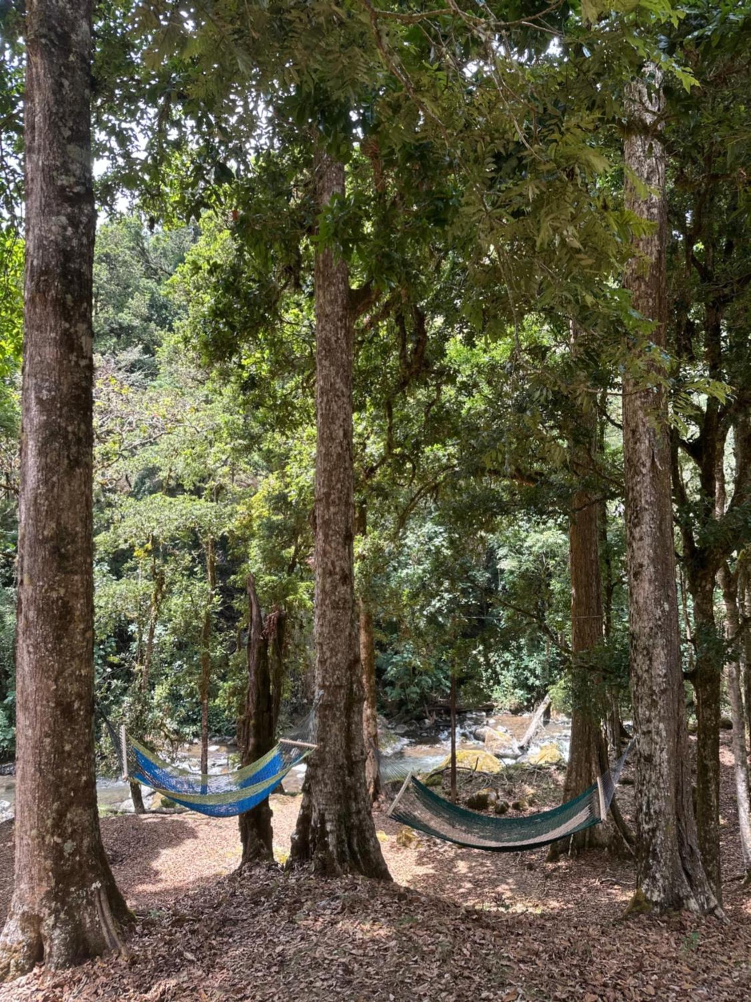 Entre Arboles Lodge San Gerardo de Dota Dış mekan fotoğraf