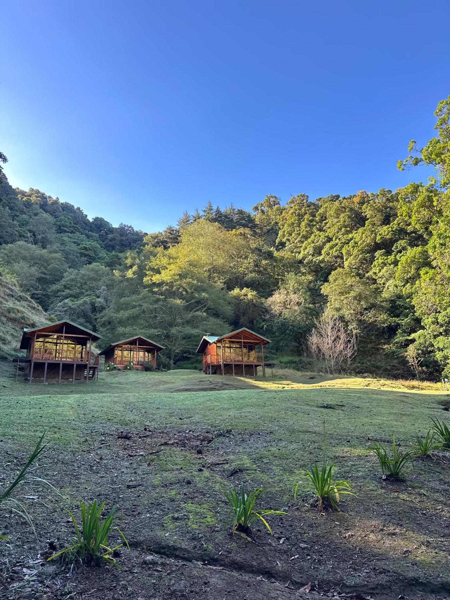 Entre Arboles Lodge San Gerardo de Dota Dış mekan fotoğraf