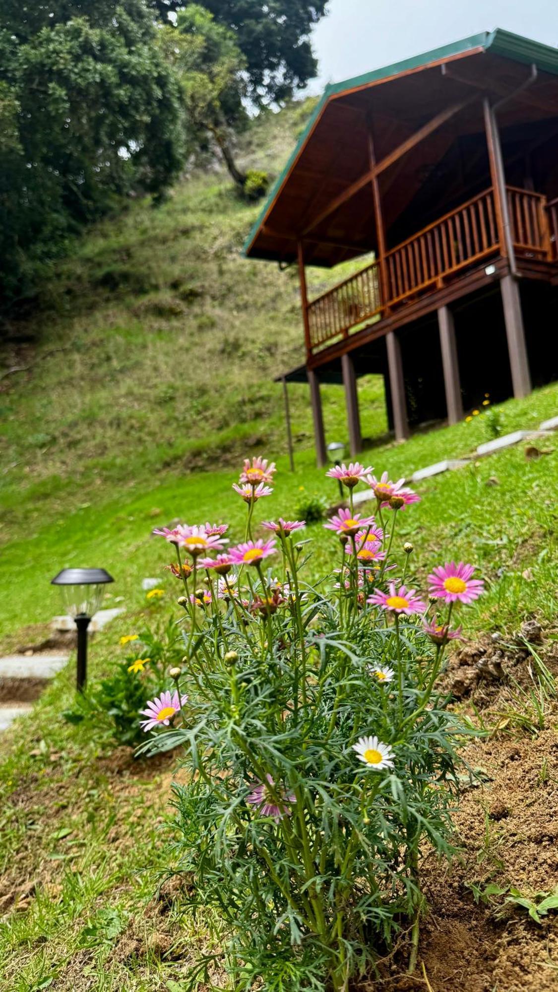 Entre Arboles Lodge San Gerardo de Dota Dış mekan fotoğraf